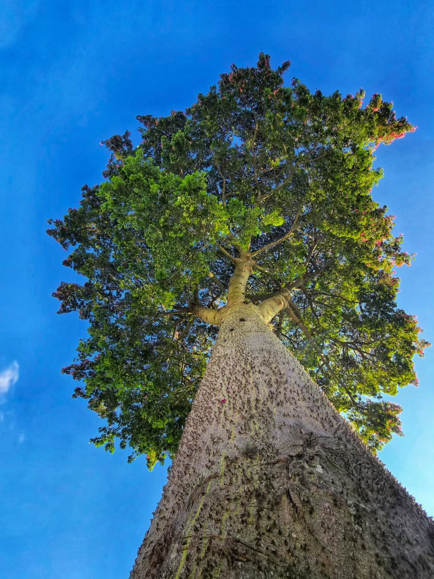 Vivência na Natureza com Keng Braga