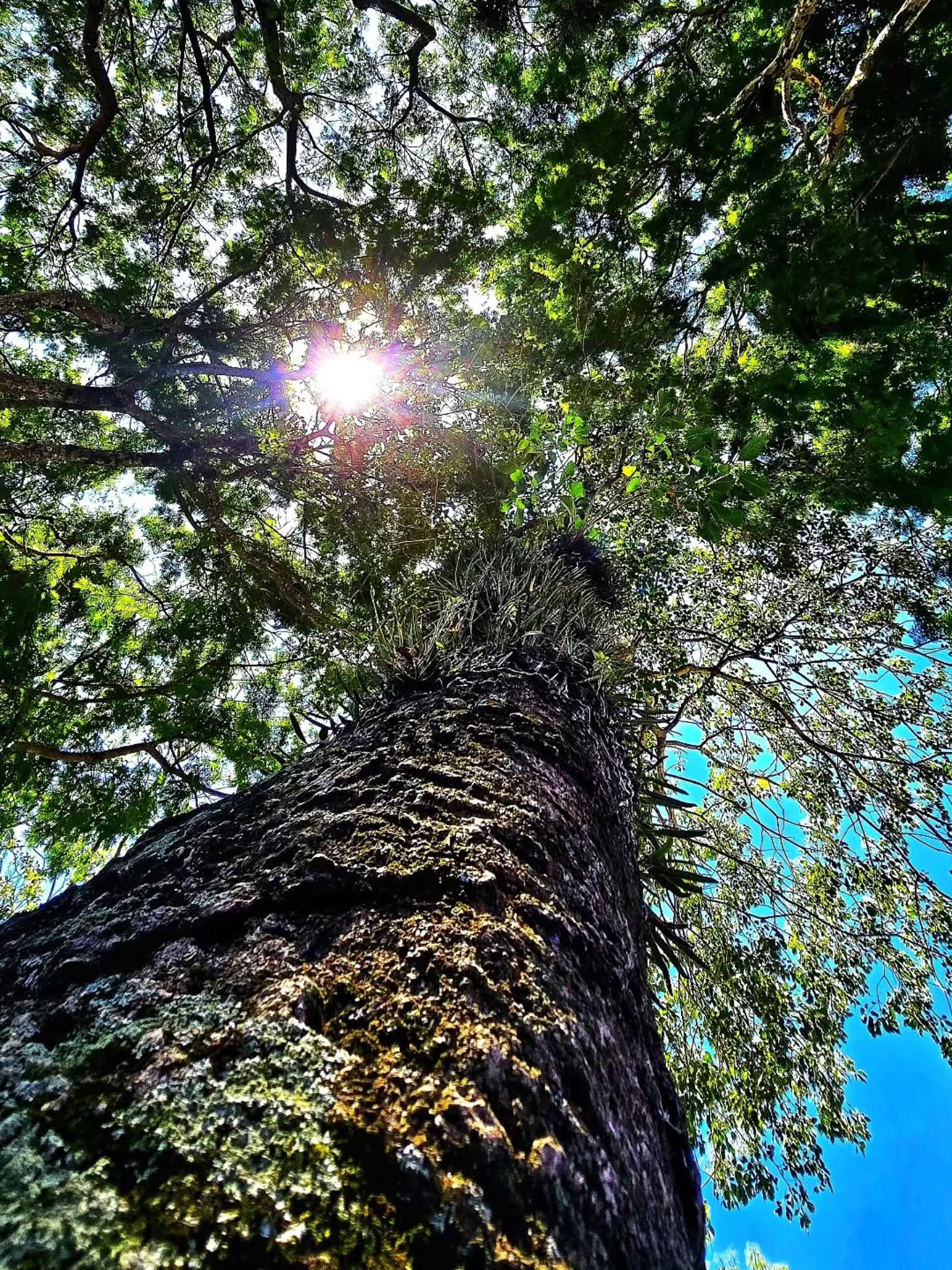 Vivência na Natureza